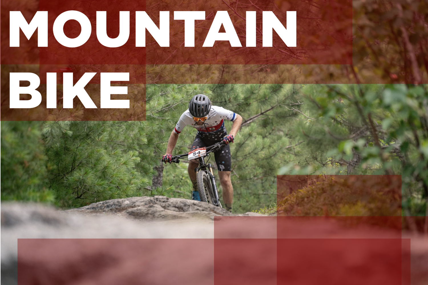 Rider cresting rocky terrain with pine tree background. Graphic reads Mountain Bike