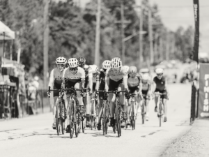 A peloton of riders race along the road with tall pine trees in the background