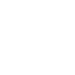 Champion System Logo