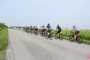 Group ride peloton riding alongside farm fields on a paved road
